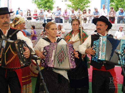 Forcarei Fiesta-2010
