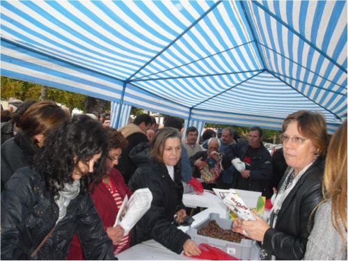 Feira- Conv&iacute;vio 2009