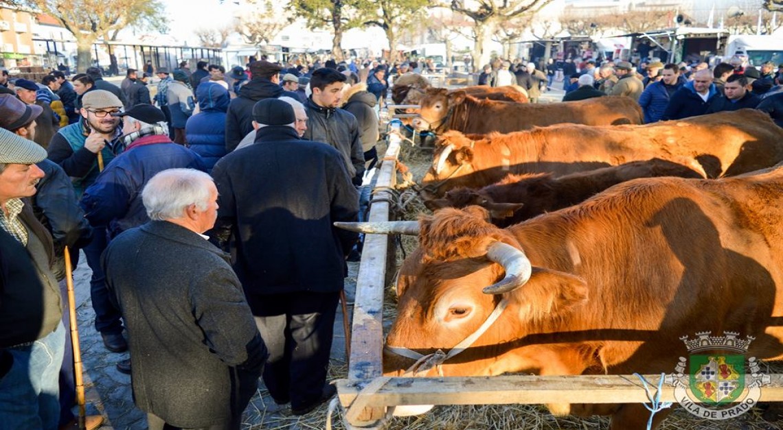 FEIRA DOS VINTE 2017