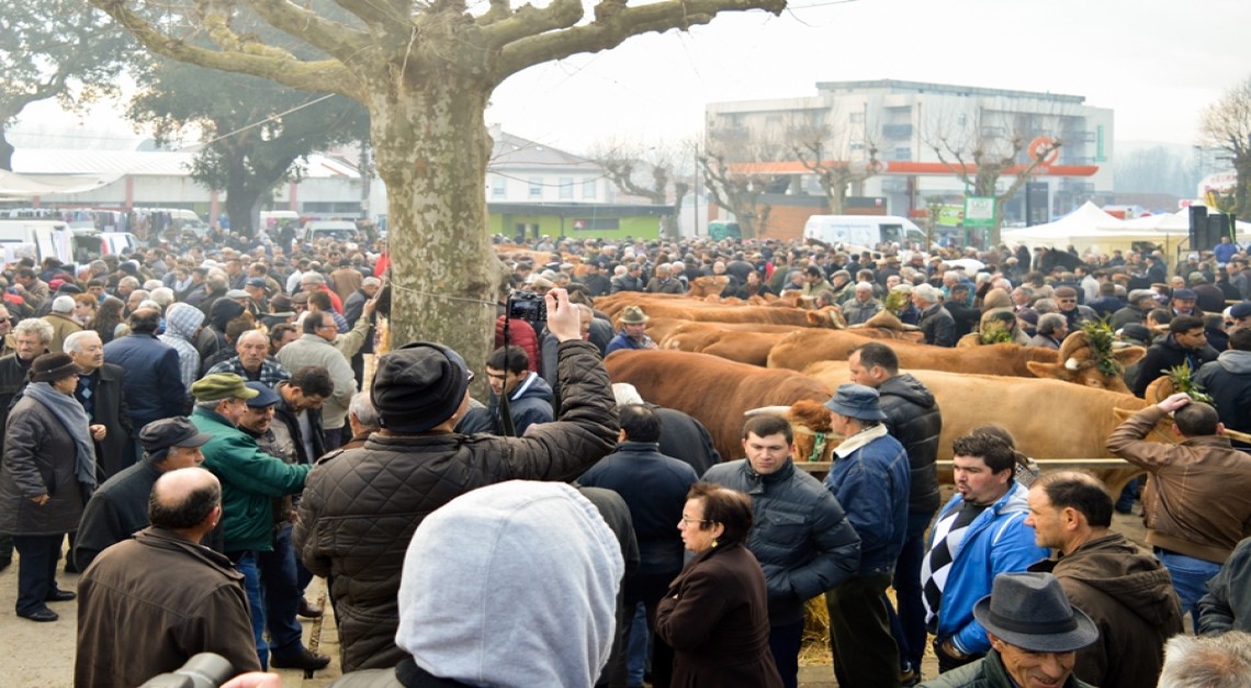 Programação da centenária Feira dos Vinte estende-se de 19 a 21 de janeiro!