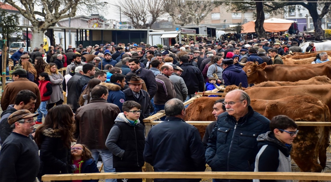 Feira dos Vinte atraiu um mar de gente à Vila de Prado!