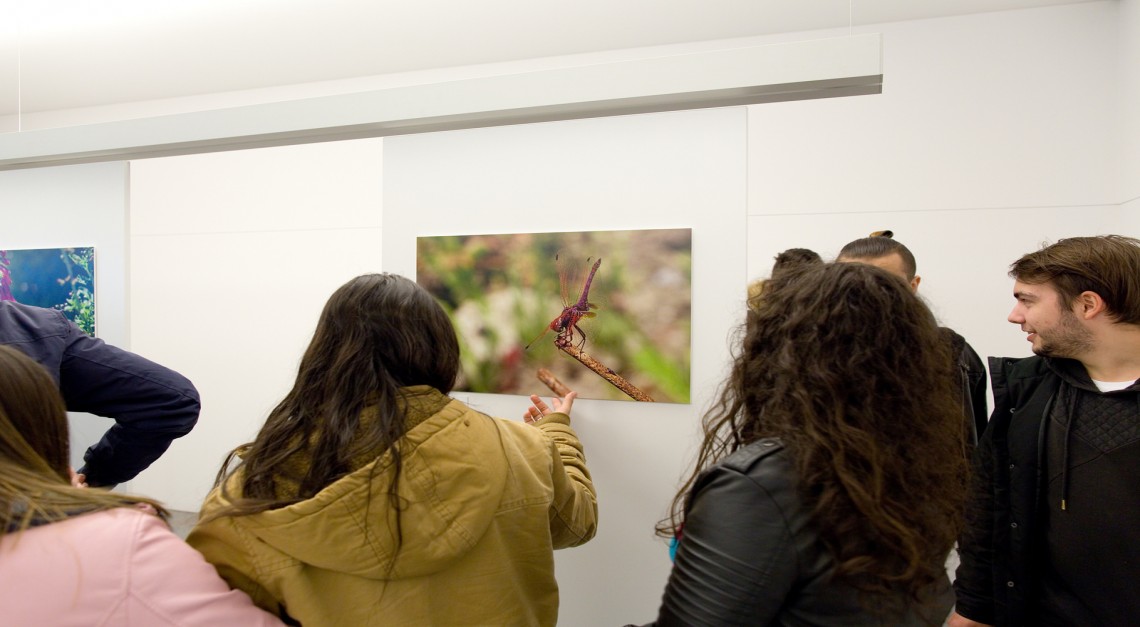 19 a 25 de novembro. Biblioteca de Prado recebe a exposição de fotografia ‘Vila Verde para além do Verde’