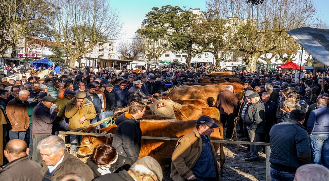 Feira dos Vinte: Tradição secular trouxe milhares ao coração da Vila de Prado