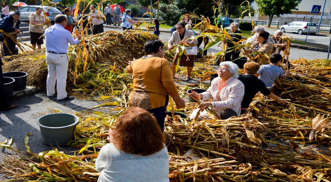 Festa das Colheitas de Prado celebra a genuína tradição do Minho!
