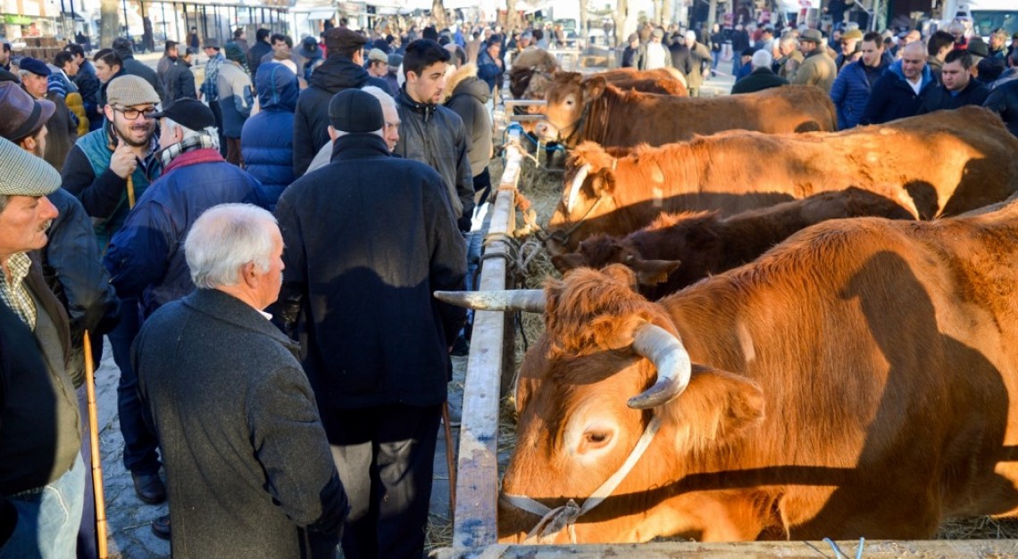 Milhares na Vila de Prado para a centenária Feira dos Vinte