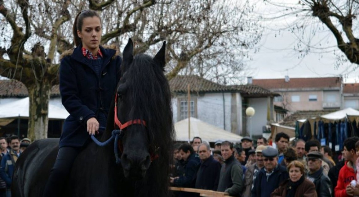 Corrida a cavalo é uma das novidades da Feira dos Vinte 2017